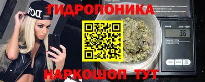 дурь Гай