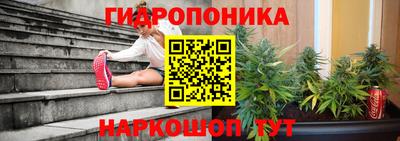 кокс Гатчина