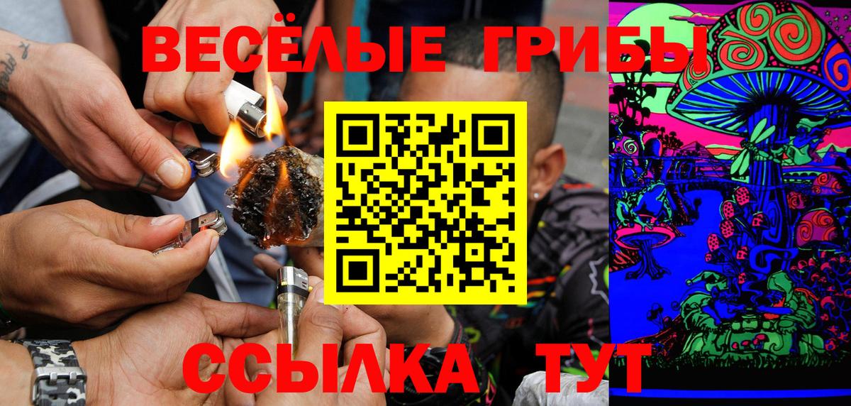 купить закладку  Псилоцибиновые грибы Psilocybine cubensis  Вход с VPN  Искитим 