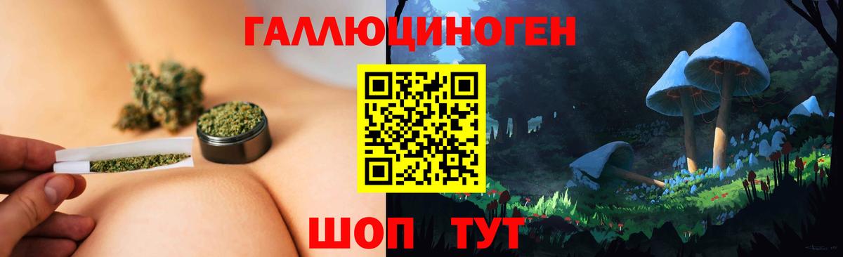 Псилоцибиновые грибы GOLDEN TEACHER Искитим